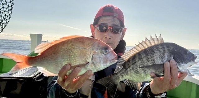 マダイ・クロダイ