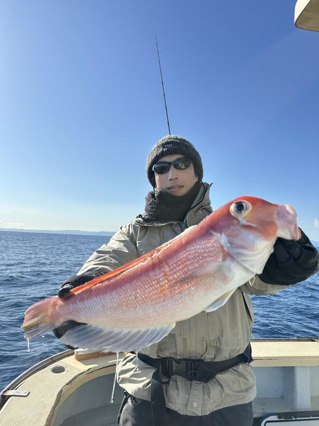 アマダイ(アカアマダイ)