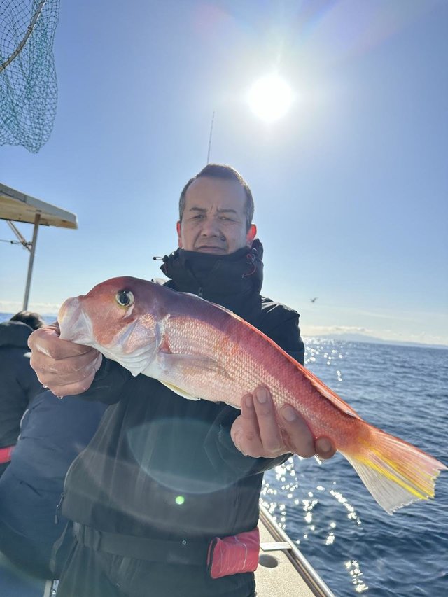 アマダイ(アカアマダイ)