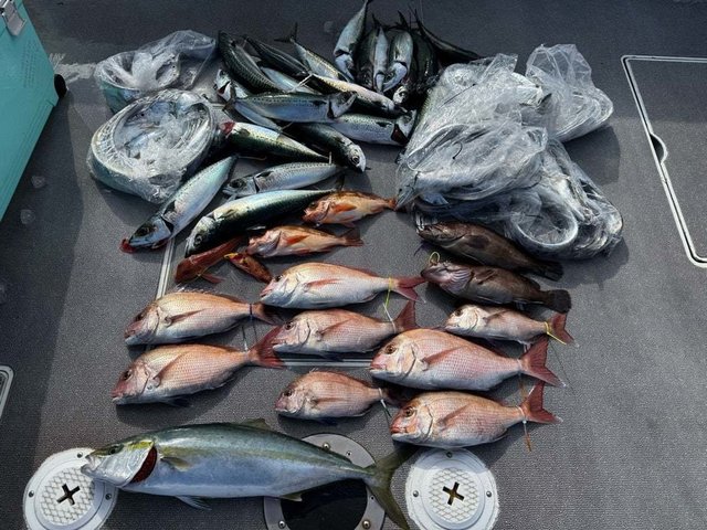 マダイ・マハタ・ハマチ(ブリ)・サバ(ゴマサバ)