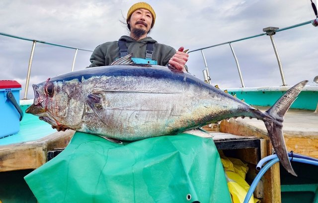 ビンチョウマグロ(ビンナガ)