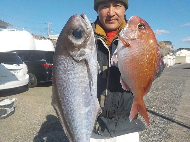 マダイ・メダイ