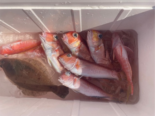 アマダイ(アカアマダイ)