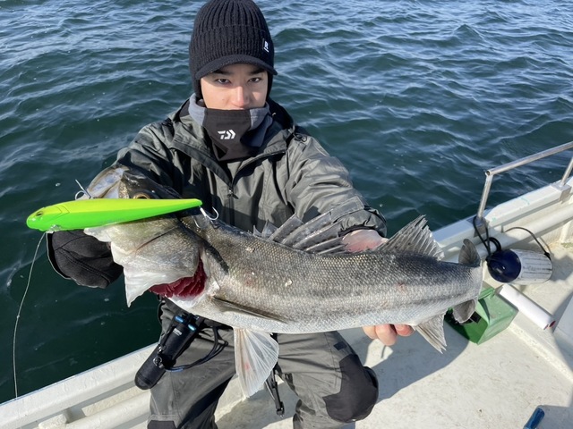 シーバス(スズキ)