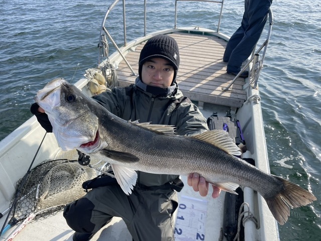 シーバス(スズキ)