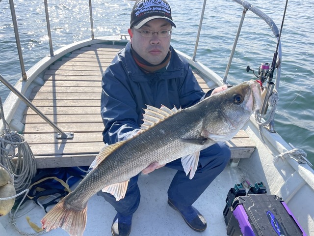 シーバス(スズキ)