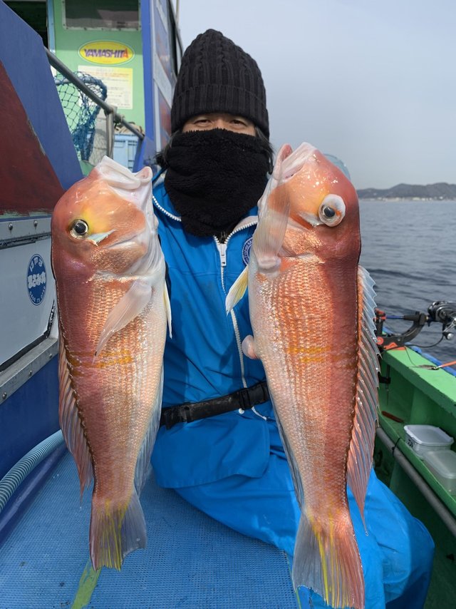 アマダイ(アカアマダイ)