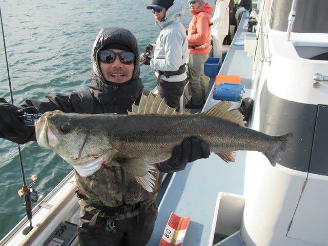 シーバス(スズキ)