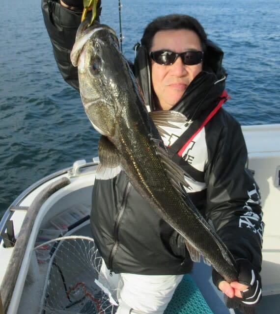 シーバス(スズキ)