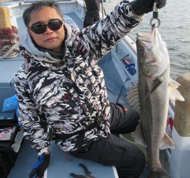 シーバス(スズキ)