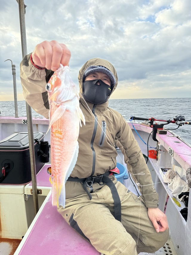 アマダイ(アカアマダイ)