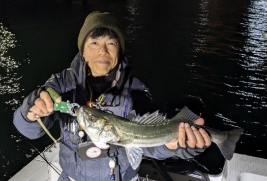 シーバス(スズキ)