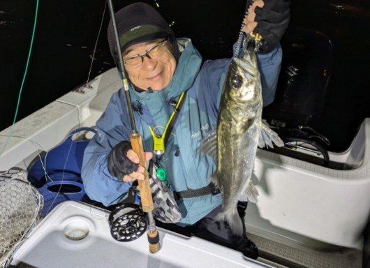 シーバス(スズキ)