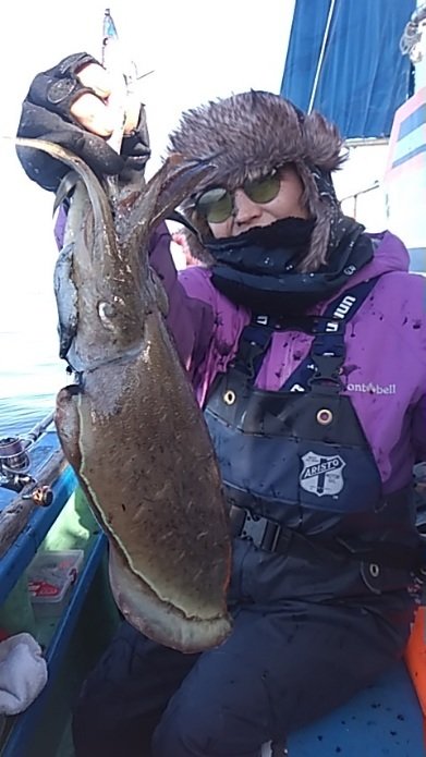 モンゴウイカ(カミナリイカ)