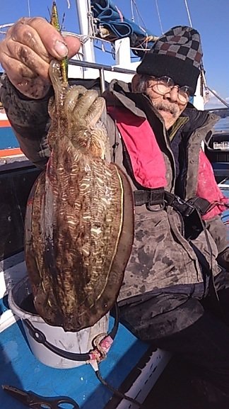 モンゴウイカ(カミナリイカ)