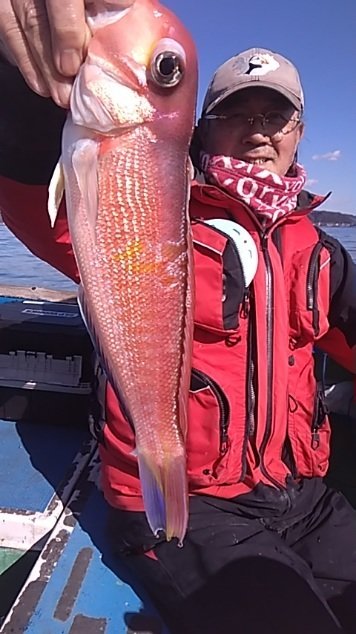 アマダイ(アカアマダイ)