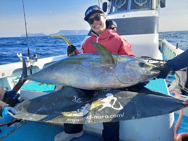 キハダマグロ(キハダ)