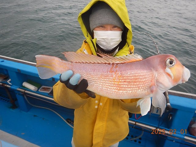 アマダイ(アカアマダイ)