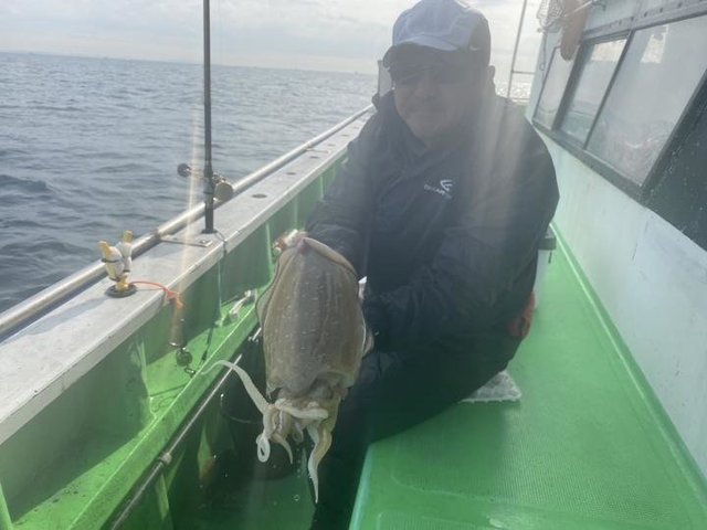 モンゴウ(カミナリイカ)