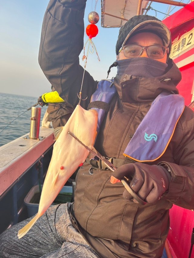 フグ(ショウサイフグ)