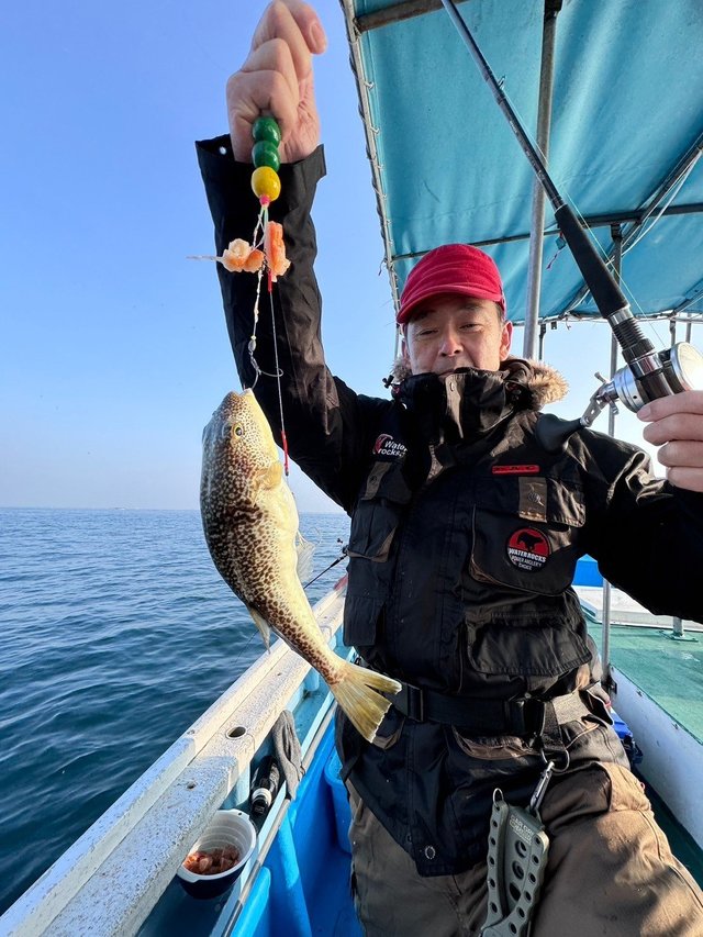 フグ(ショウサイフグ)