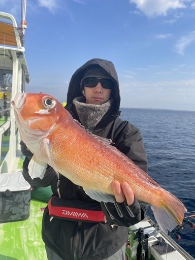 アマダイ(アカアマダイ)