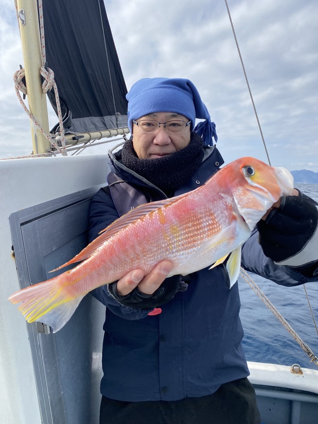 アマダイ(アカアマダイ)