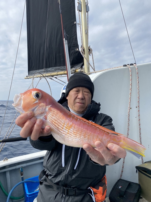 アマダイ(アカアマダイ)