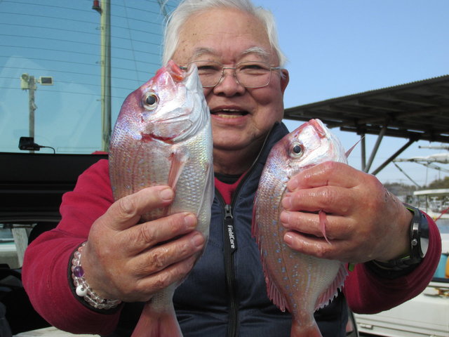 ハナダイ(チダイ)