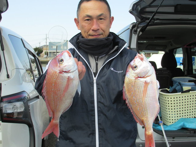 ハナダイ(チダイ)