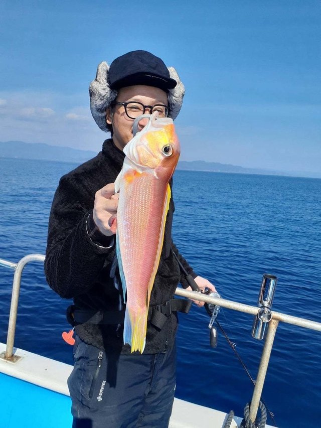 アマダイ(アカアマダイ)