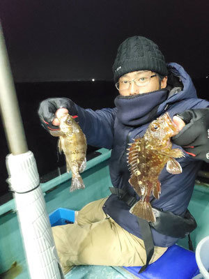 カサゴ・メバル