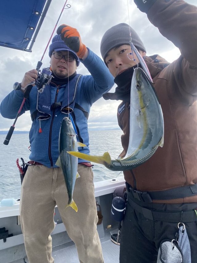 ハマチ(ブリ)・メジロ(ブリ)