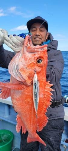 メヌケ(アコウダイ)