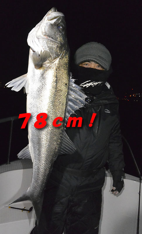 シーバス(スズキ)