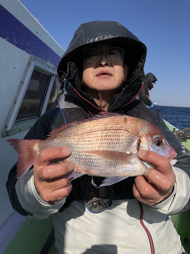 ハナダイ(チダイ)