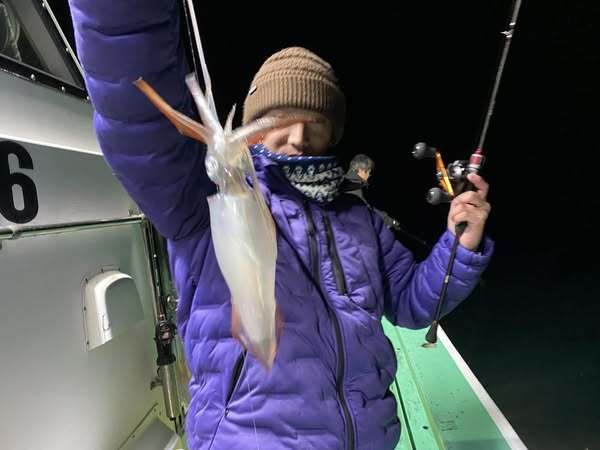 マルイカ(ケンサキイカ)