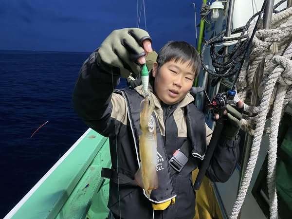 マルイカ(ケンサキイカ)