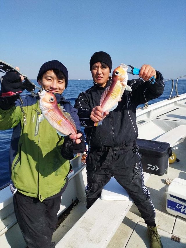 アマダイ(アカアマダイ)