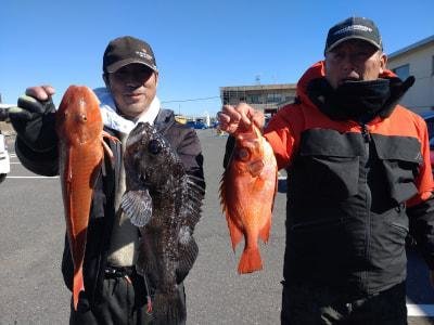 キントキ(チカメキントキ)・ホウボウ