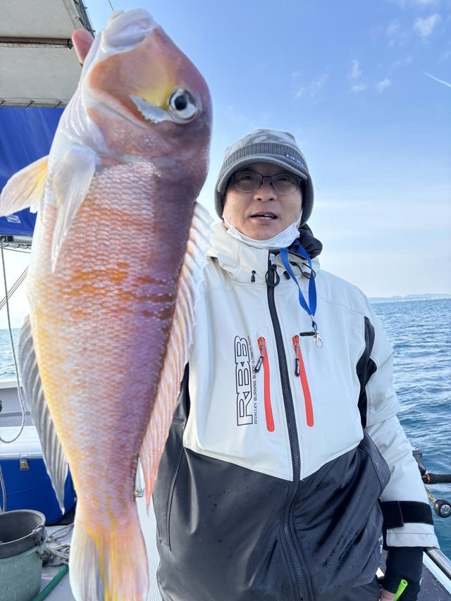 アマダイ(アカアマダイ)