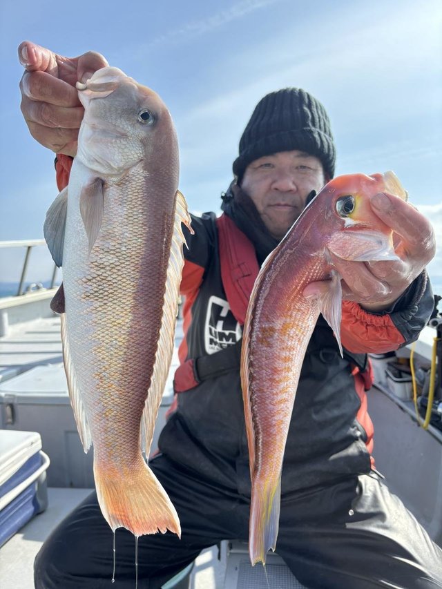 アマダイ(アカアマダイ)