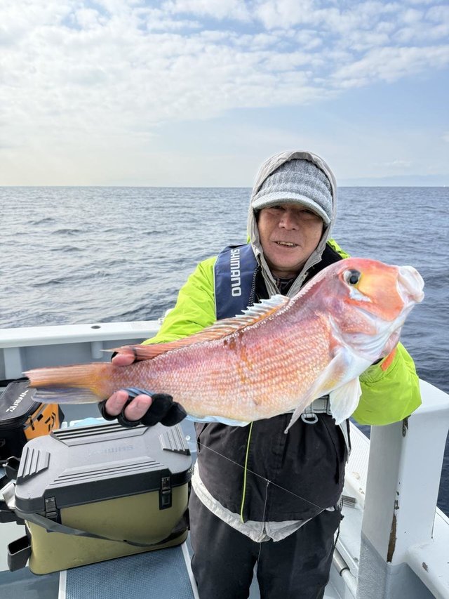 アマダイ(アカアマダイ)