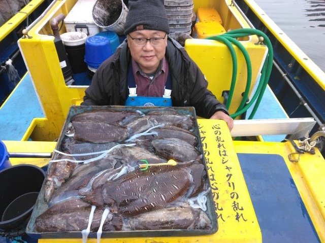 スミイカ(コウイカ)・カミナリイカ