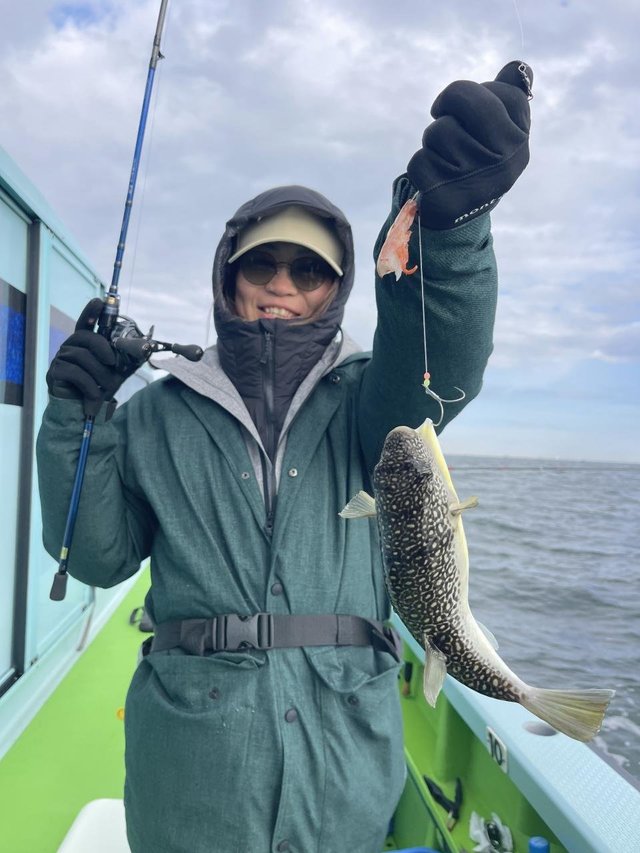 フグ(ショウサイフグ)