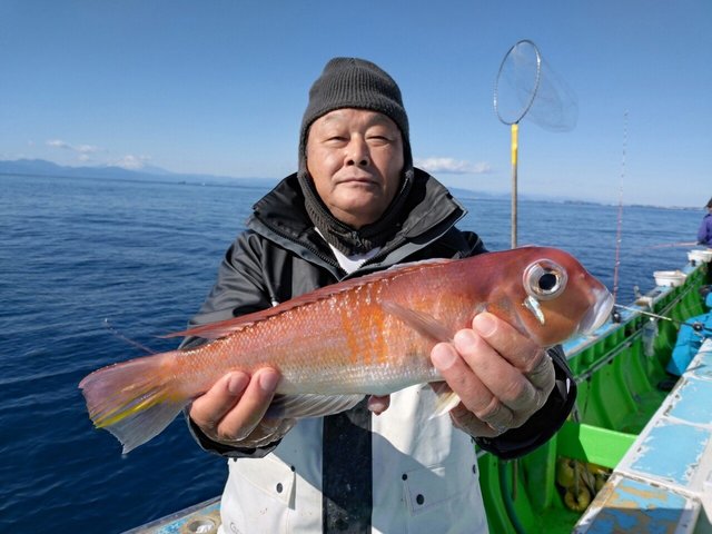 アマダイ(アカアマダイ)