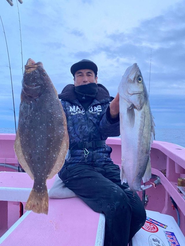 スズキ・ヒラメ