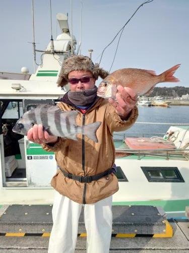 マダイ・イシダイ