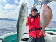 マダイ・ワラサ(ブリ)