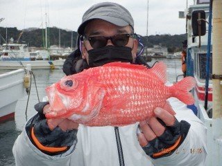 ヨロイダイ(エビスダイ)